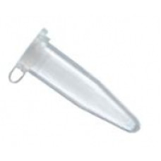 TÜP (EPPENDORF) LP